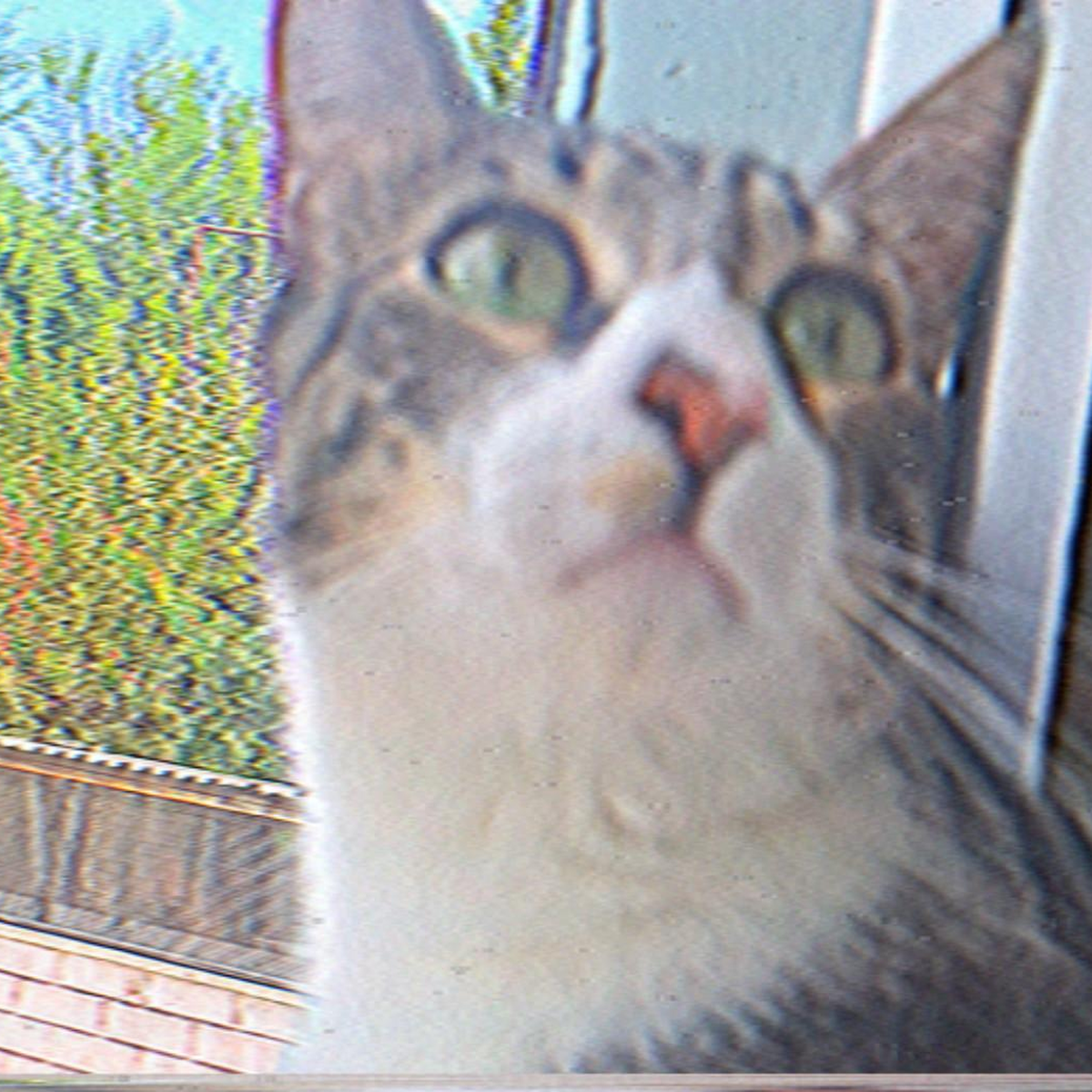 Imagen de chilly-somnus-cat